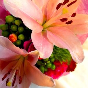 Meet your Posher, Posh